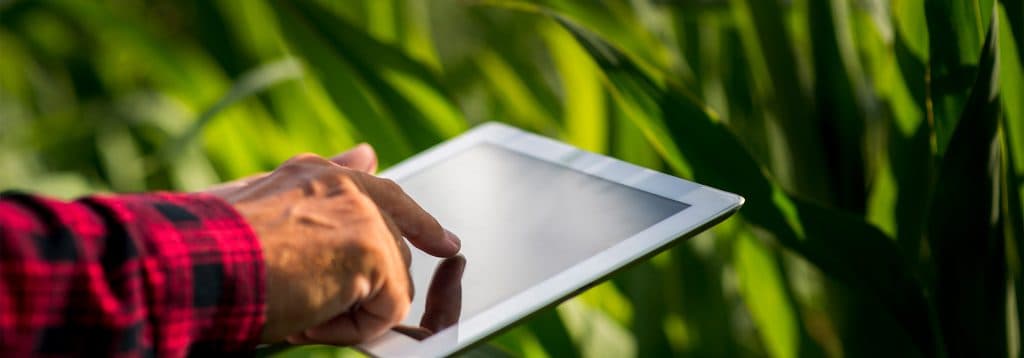 Impulso de la economía circular en el sector del plástico