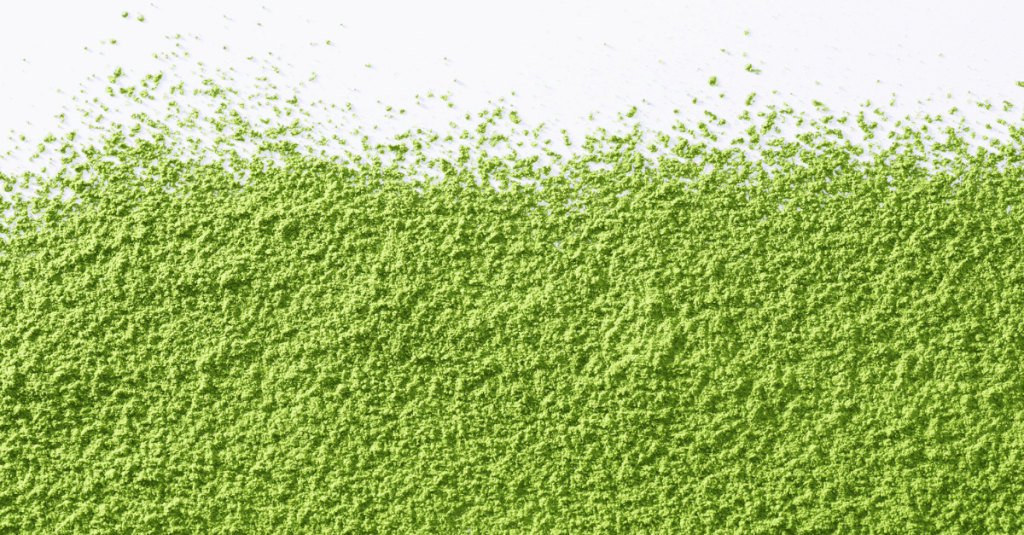 Europa, líder verde