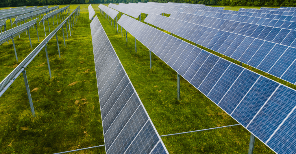 Placas solares instaladas en un campo verde bajo cielo despejado, simbolizando la transición hacia energías renovables y la descarbonización industrial en España.