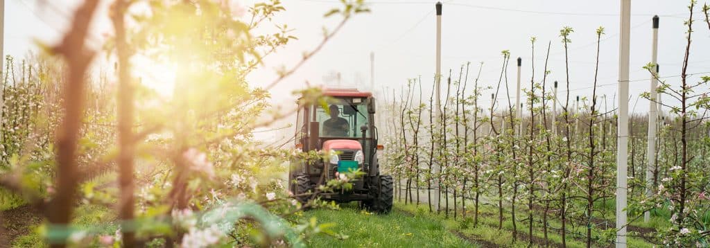 Fondos Next Generation Agroalimentación: Beneficios de contar con FI Group