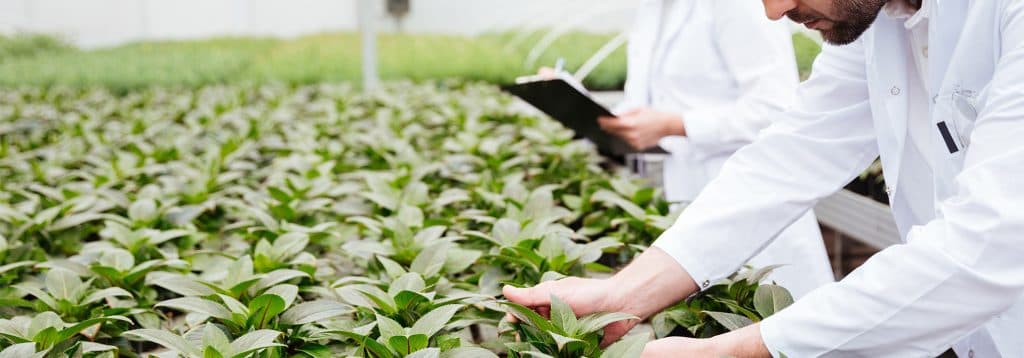 Evolución del sector agroalimentario: entrevista a Carmen Ovejero 