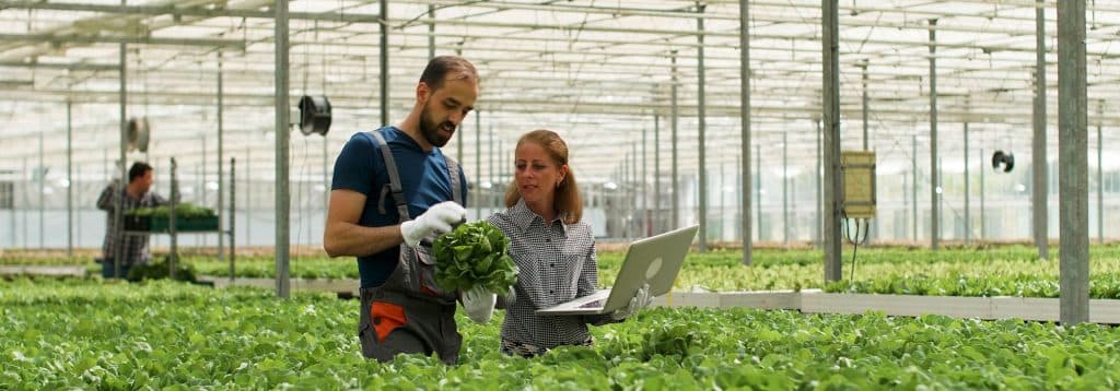 Las soluciones estratégicas para el sector agroalimentario