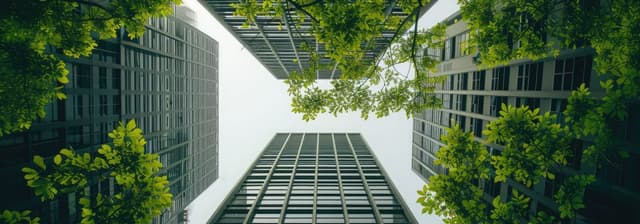 Línea Directa de Innovación DANA (LIC-DANA)