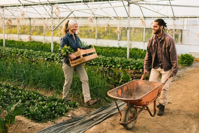 Proyectos innovadores agroalimentación
