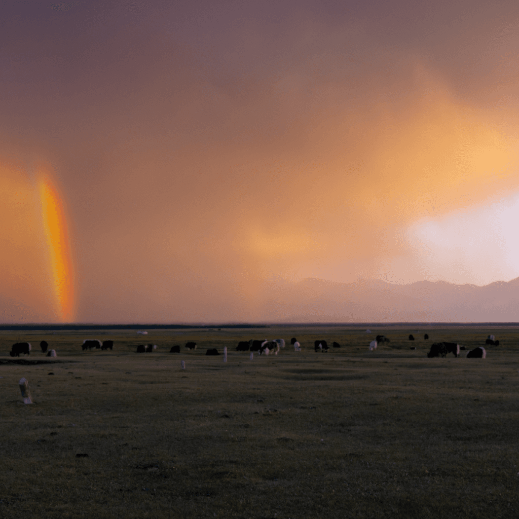 Paisaje abierto con luz cálida y arcoíris en el horizonte que simboliza la visión estratégica de un CFO en el sector Turismo ante los retos y oportunidades del mercado.