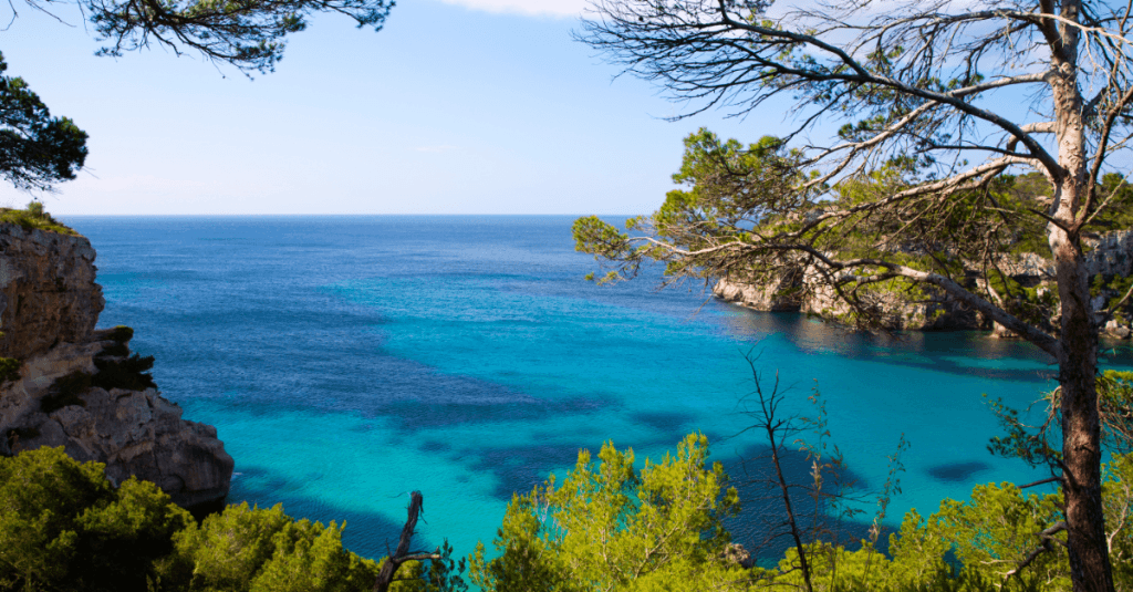 "Guía de Baleares con referencia a programas de incentivos a la I+D+I que fomentan la innovación empresarial."