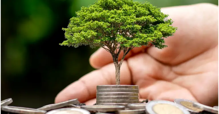 "Programas e incentivos clave de financiación para sostenibilidad en proyectos empresariales."